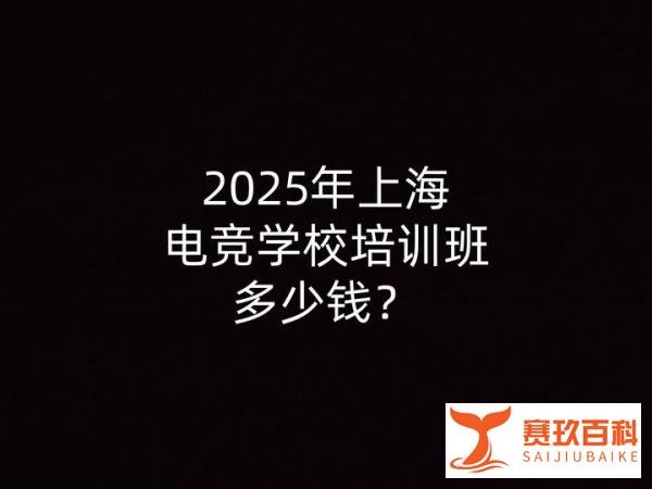 2025年上海电竞学校培训班多少钱？