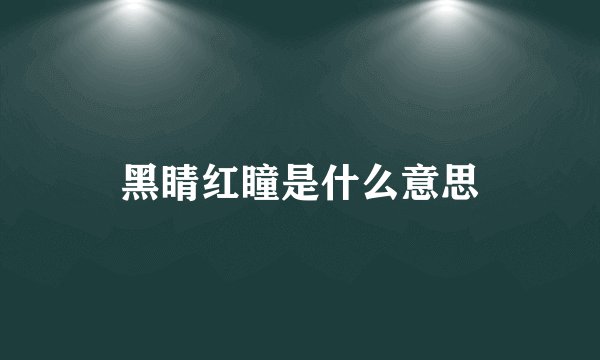 黑睛红瞳是什么意思