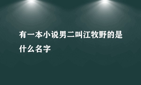 有一本小说男二叫江牧野的是什么名字