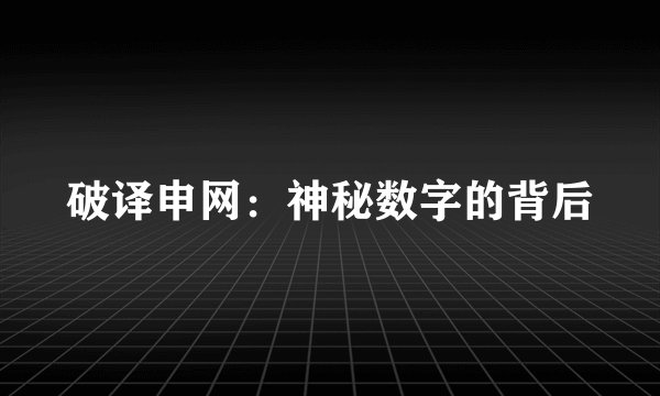 破译申网：神秘数字的背后