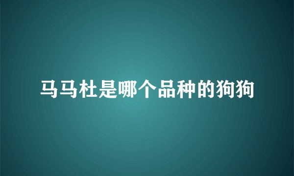 马马杜是哪个品种的狗狗