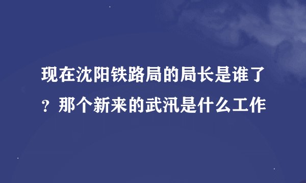 现在沈阳铁路局的局长是谁了？那个新来的武汛是什么工作