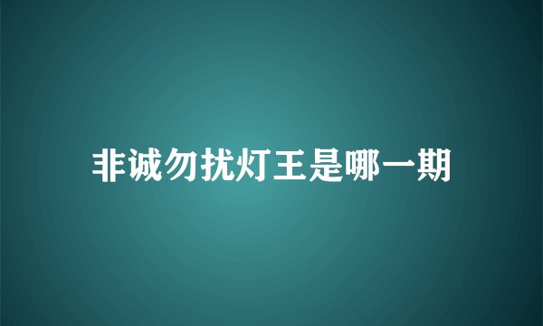 非诚勿扰灯王是哪一期