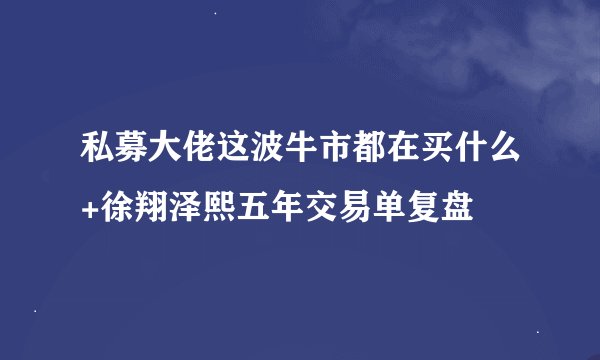 私募大佬这波牛市都在买什么+徐翔泽熙五年交易单复盘