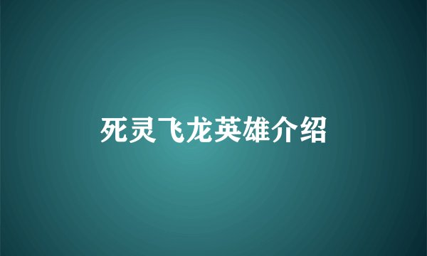 死灵飞龙英雄介绍