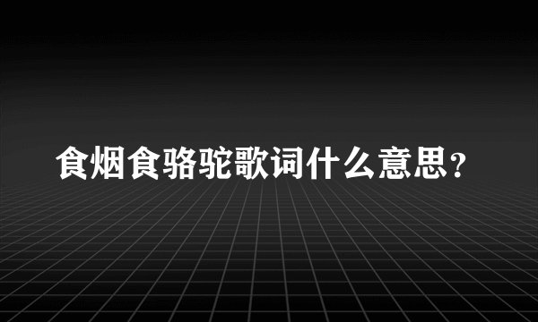 食烟食骆驼歌词什么意思？