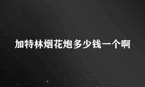 加特林烟花炮多少钱一个啊