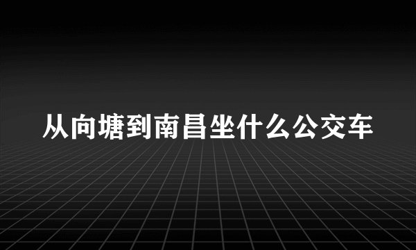 从向塘到南昌坐什么公交车