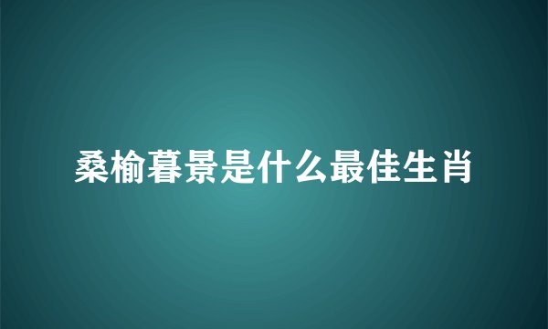 桑榆暮景是什么最佳生肖
