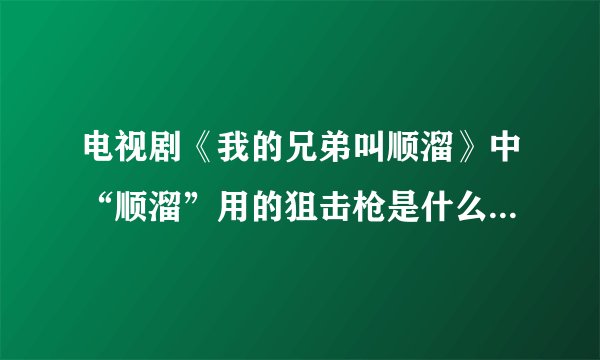 电视剧《我的兄弟叫顺溜》中“顺溜”用的狙击枪是什么型号那国产的，请各位专业人士给我一个解答