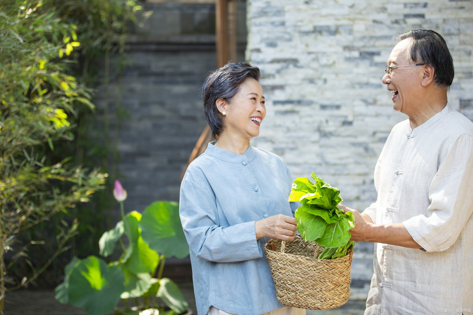 多多买菜被多地邮政局监管提示，这背后的缘由是什么？