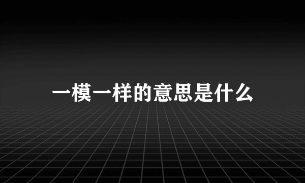 一模一样的意思是什么