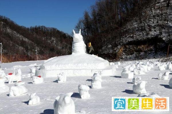 滑雪场员工堆100个雪牛迎新年 这是咋情况？
