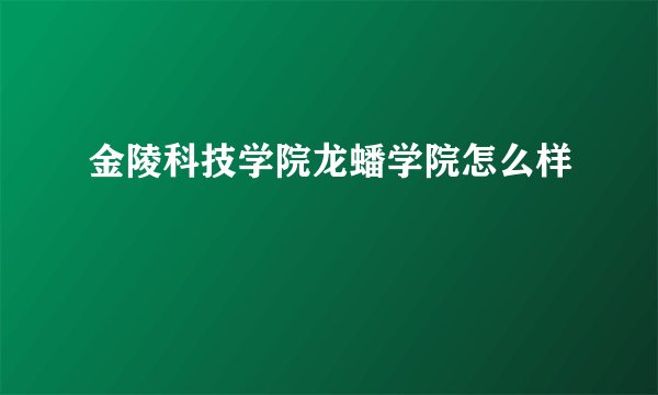 金陵科技学院龙蟠学院怎么样