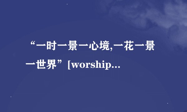 “一时一景一心境,一花一景一世界”[worship]我问佛:何为悟道? 佛不语,只
