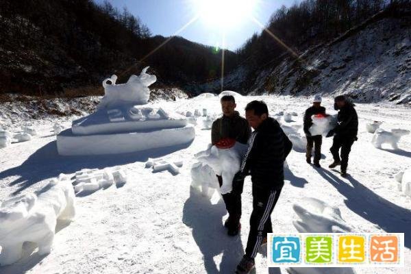 滑雪场员工堆100个雪牛迎新年 这是咋情况？