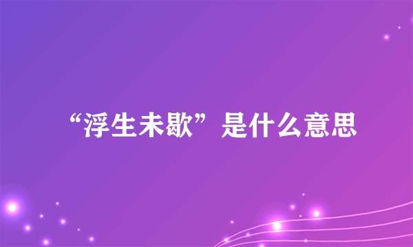 “浮生未歇”是什么意思