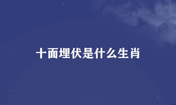 十面埋伏是什么生肖