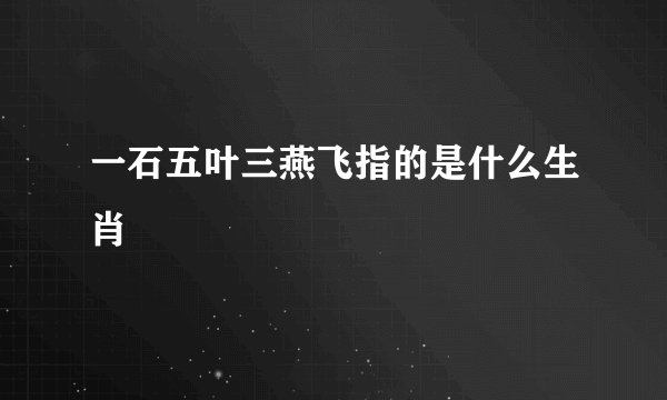 一石五叶三燕飞指的是什么生肖