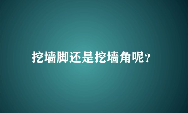 挖墙脚还是挖墙角呢？