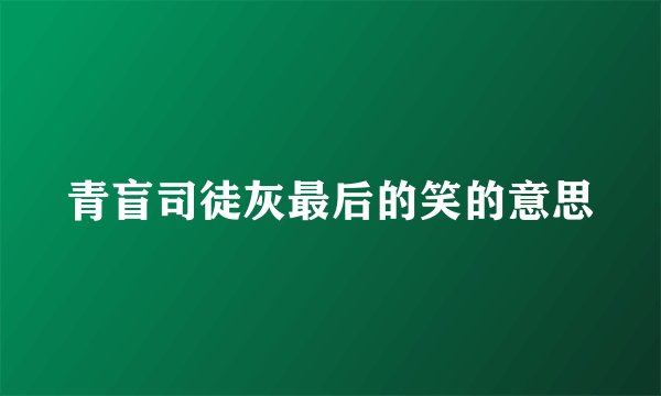 青盲司徒灰最后的笑的意思