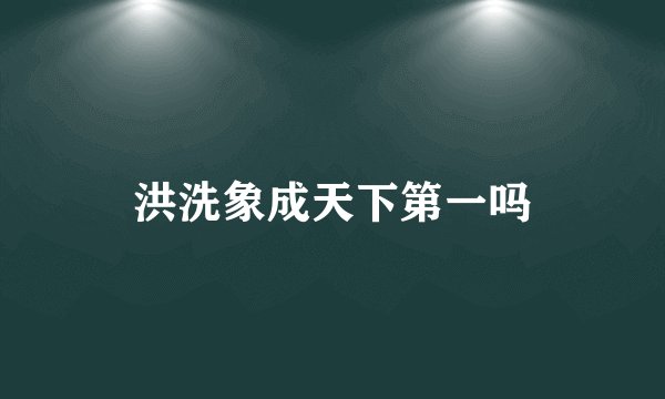 洪洗象成天下第一吗