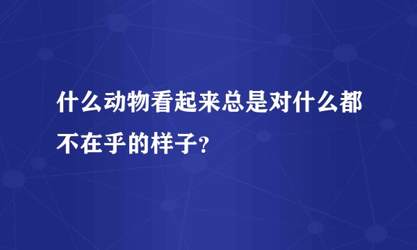 什么动物看起来总是对什么都不在乎的样子？
