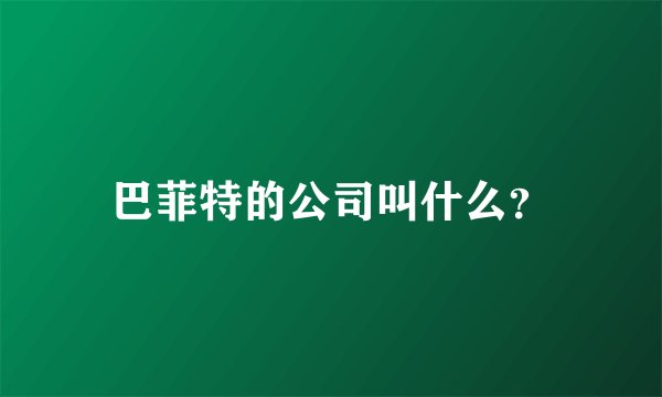 巴菲特的公司叫什么？
