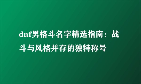 dnf男格斗名字精选指南：战斗与风格并存的独特称号