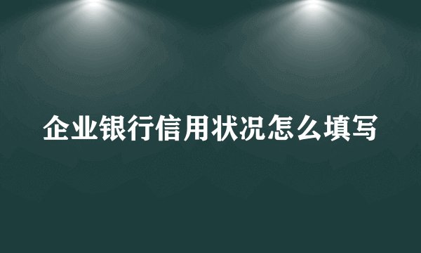 企业银行信用状况怎么填写