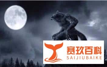 饭局狼人杀直播怎么看