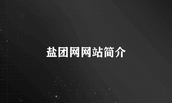 盐团网网站简介