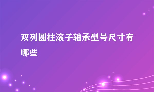 双列圆柱滚子轴承型号尺寸有哪些