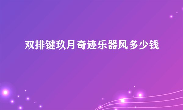 双排键玖月奇迹乐器风多少钱