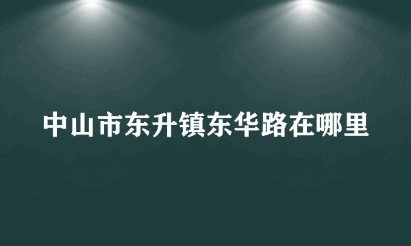 中山市东升镇东华路在哪里