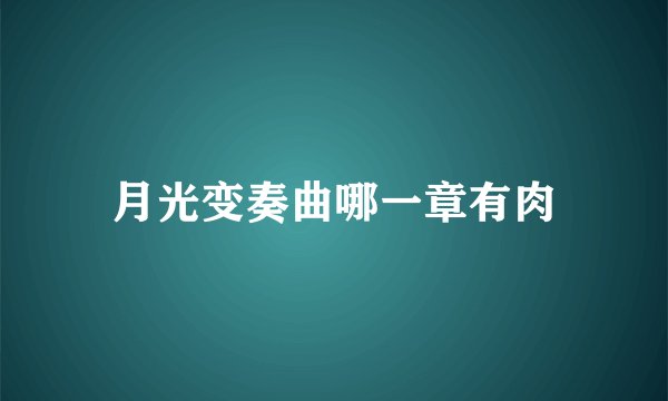 月光变奏曲哪一章有肉