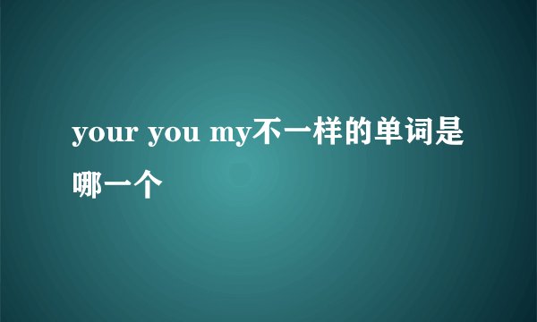 your you my不一样的单词是哪一个