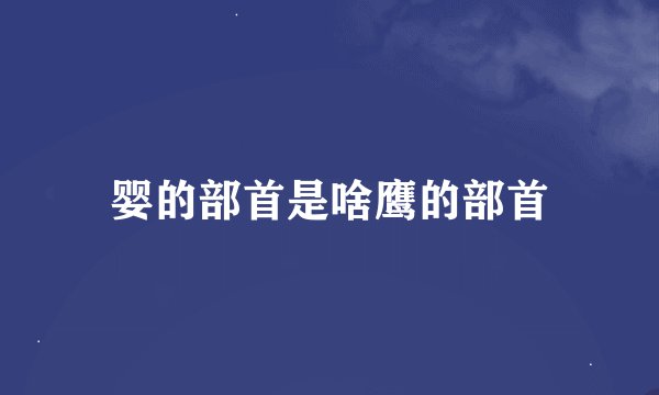 婴的部首是啥鹰的部首