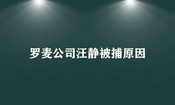 罗麦公司汪静被捕原因