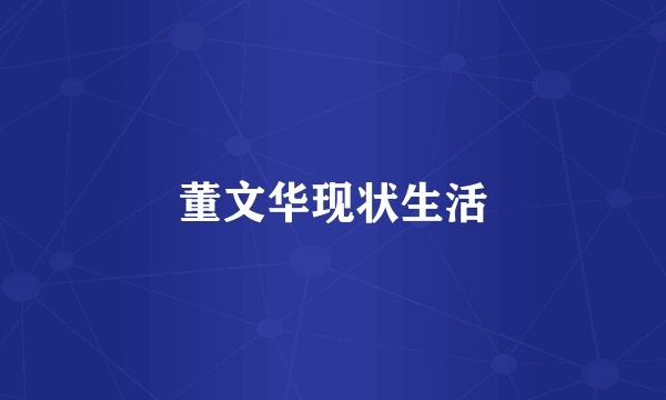 董文华现状生活