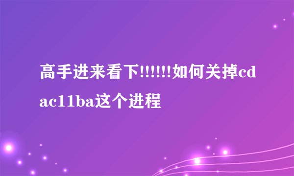 高手进来看下!!!!!!如何关掉cdac11ba这个进程