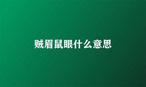 贼眉鼠眼什么意思