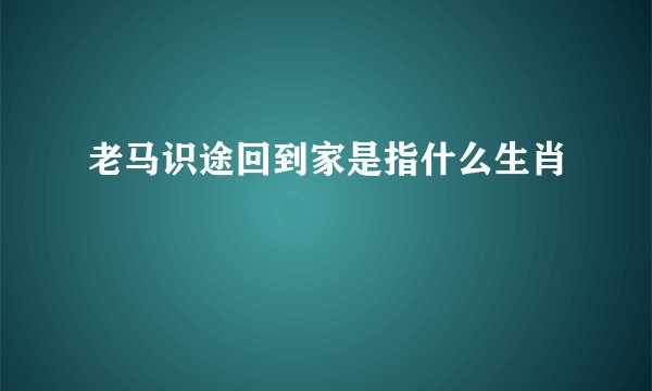 老马识途回到家是指什么生肖