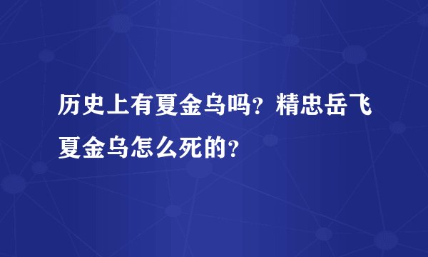 历史上有夏金乌吗？精忠岳飞夏金乌怎么死的？
