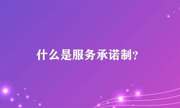 什么是服务承诺制？