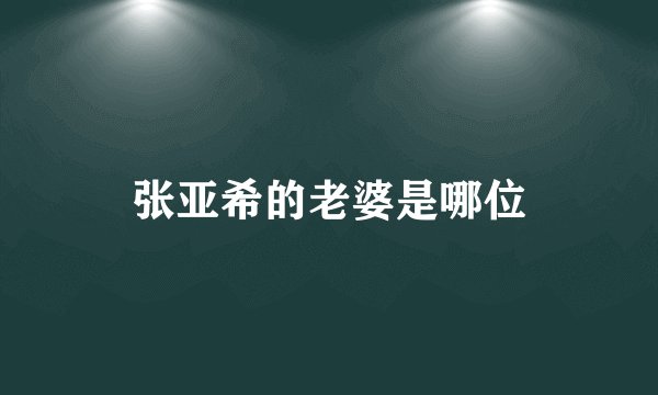 张亚希的老婆是哪位