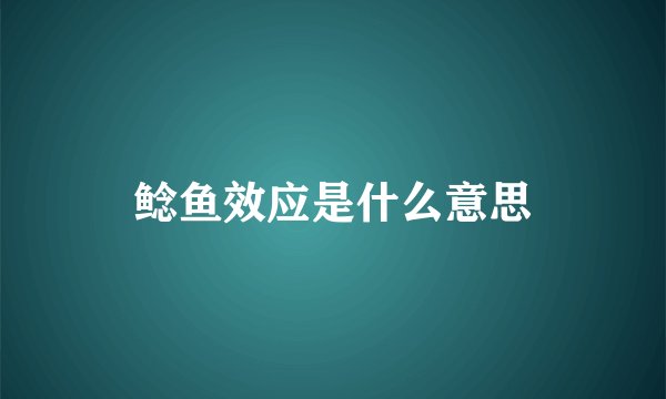 鲶鱼效应是什么意思