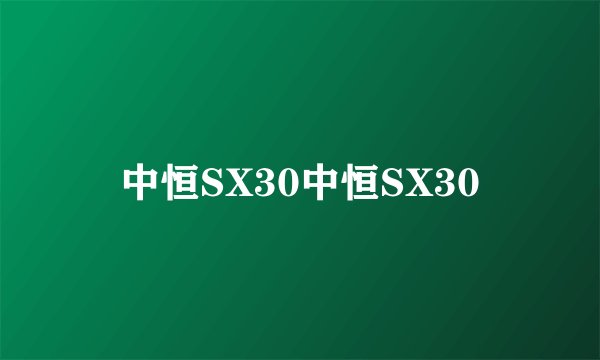 中恒SX30中恒SX30
