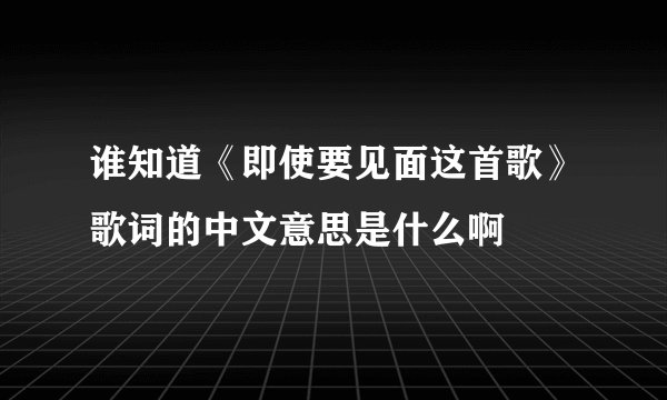 谁知道《即使要见面这首歌》歌词的中文意思是什么啊
