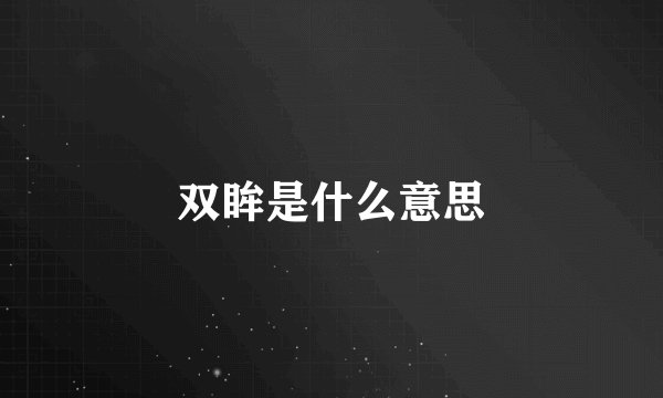 双眸是什么意思